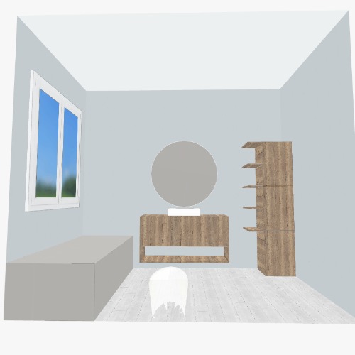 Bathroom Project